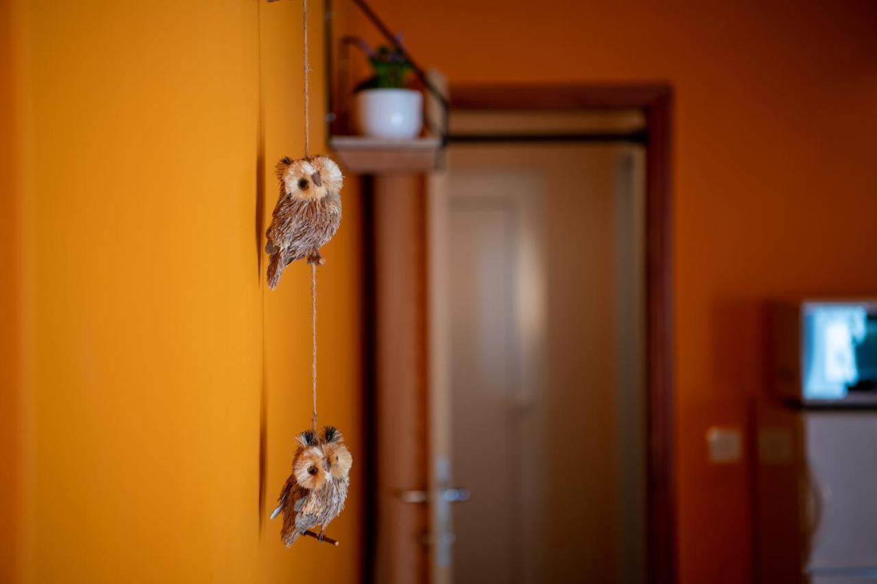 Apartment Orange 29 Rovinj Buitenkant foto